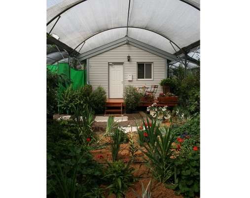 בקתה בעמק 11